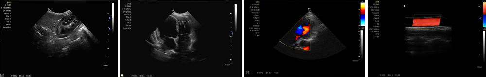 c-4副本.jpg c-4副本.jpg
